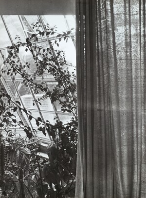 Otti Berger, Rideau translucide, réalisé pour la maison Schminke à Löbau (architecte : Hans Scharoun), 1933.