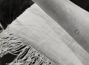 Otti Berger, revêtement mural en fibre végétale pour la maison am Rupenhorn à Berlin (architecte : Ludwig Hilberseimer), 1930-1944.